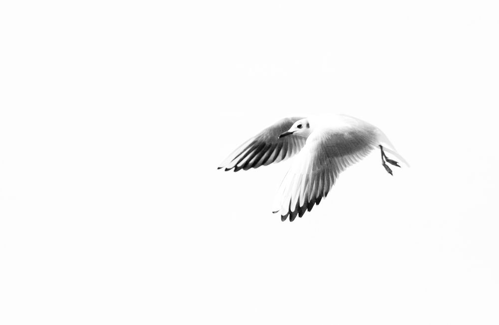 Photograph by Eva Wiedemann