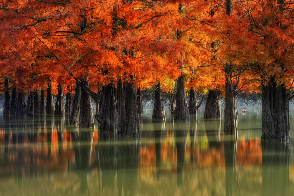 Photograph by Александр Хорошилов