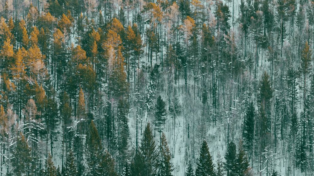 Photograph by Кузьмин Евгений