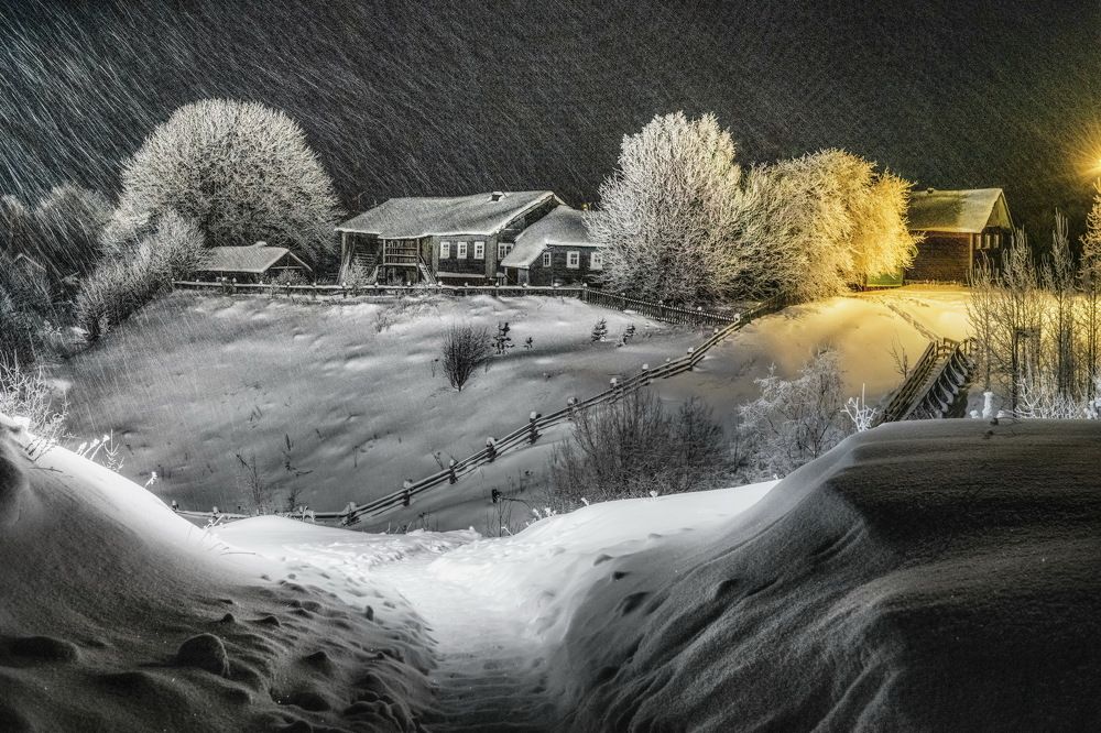 Photograph by Журавлев Александр