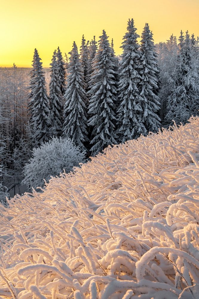 Фотография автора Журавлев Александр