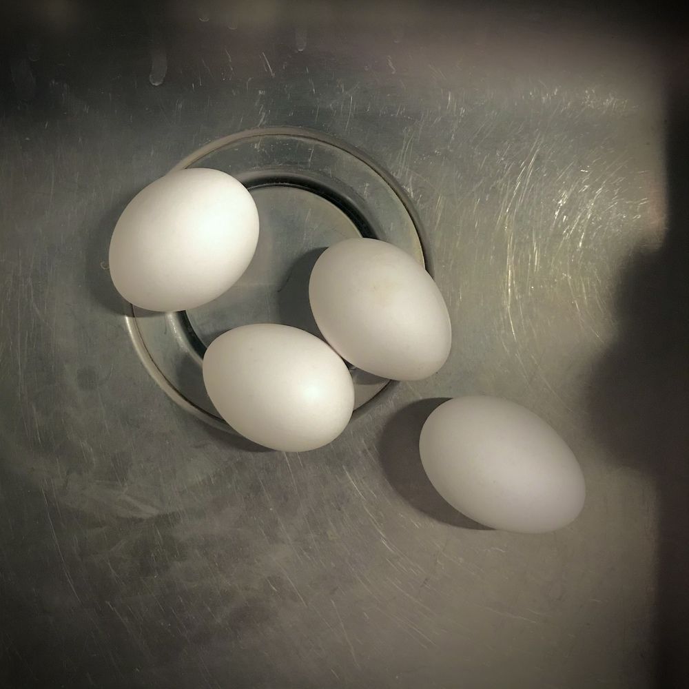 Eggs