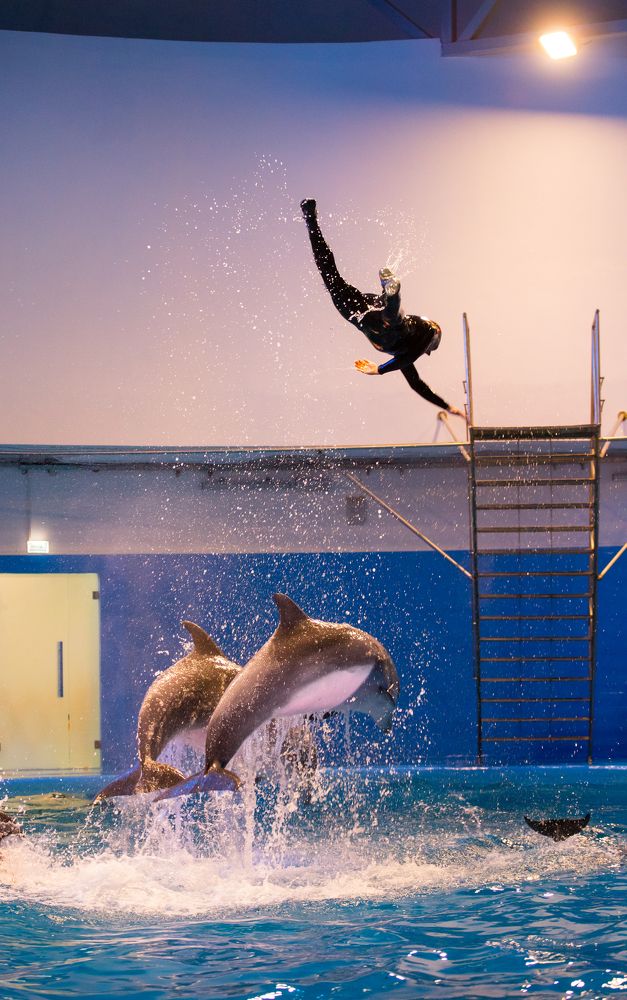 Photograph by Артем Пьянов