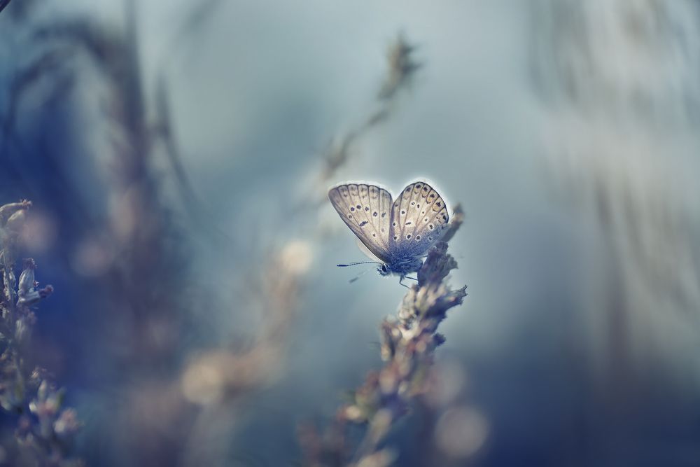 Photograph by Полина Васеева