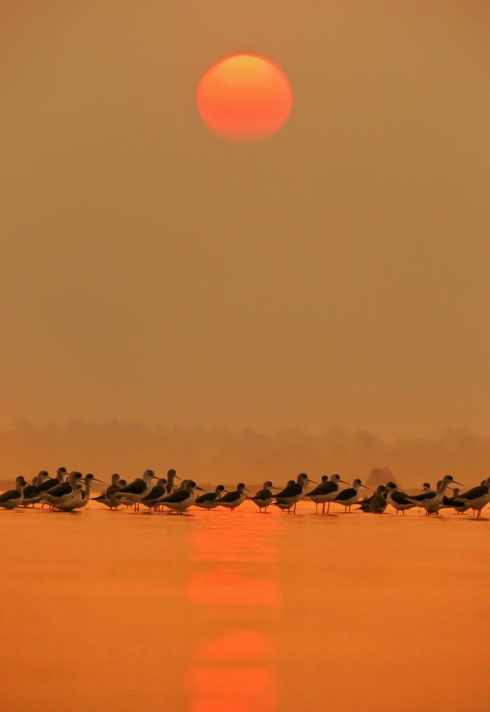 The last Rest of a day