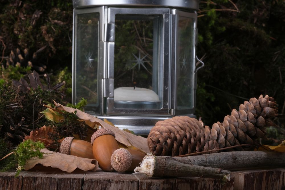 Photograph by Тим