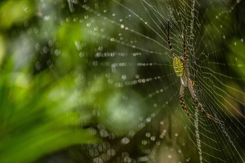 Photograph by Abhishek Nandkishor Neelam Satam