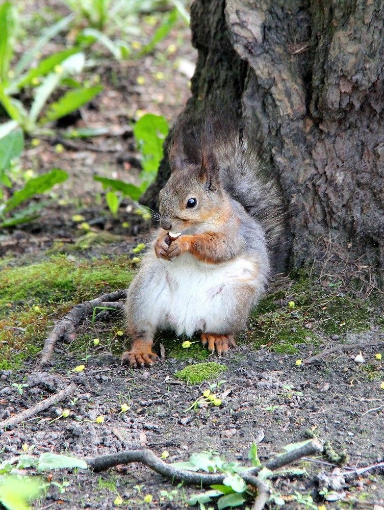 Обеденный перерыв