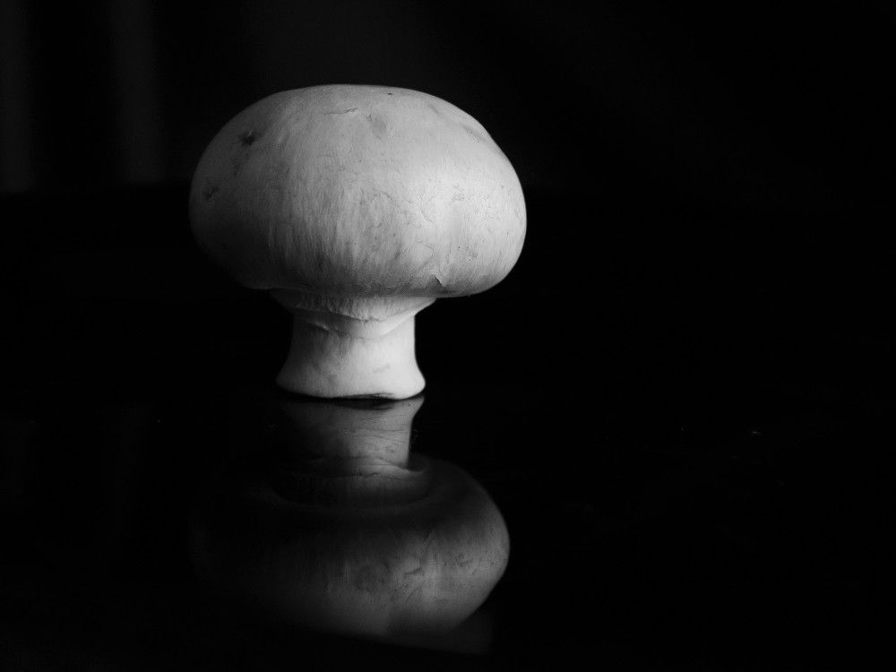 Photograph by Алина Туник