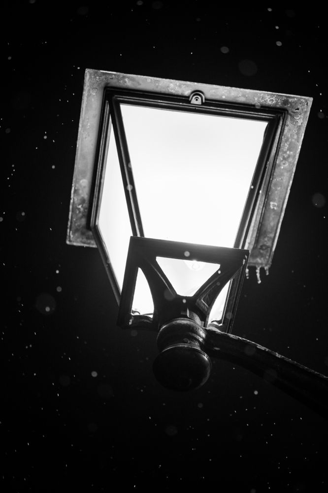 Photograph by Дарья Травкина