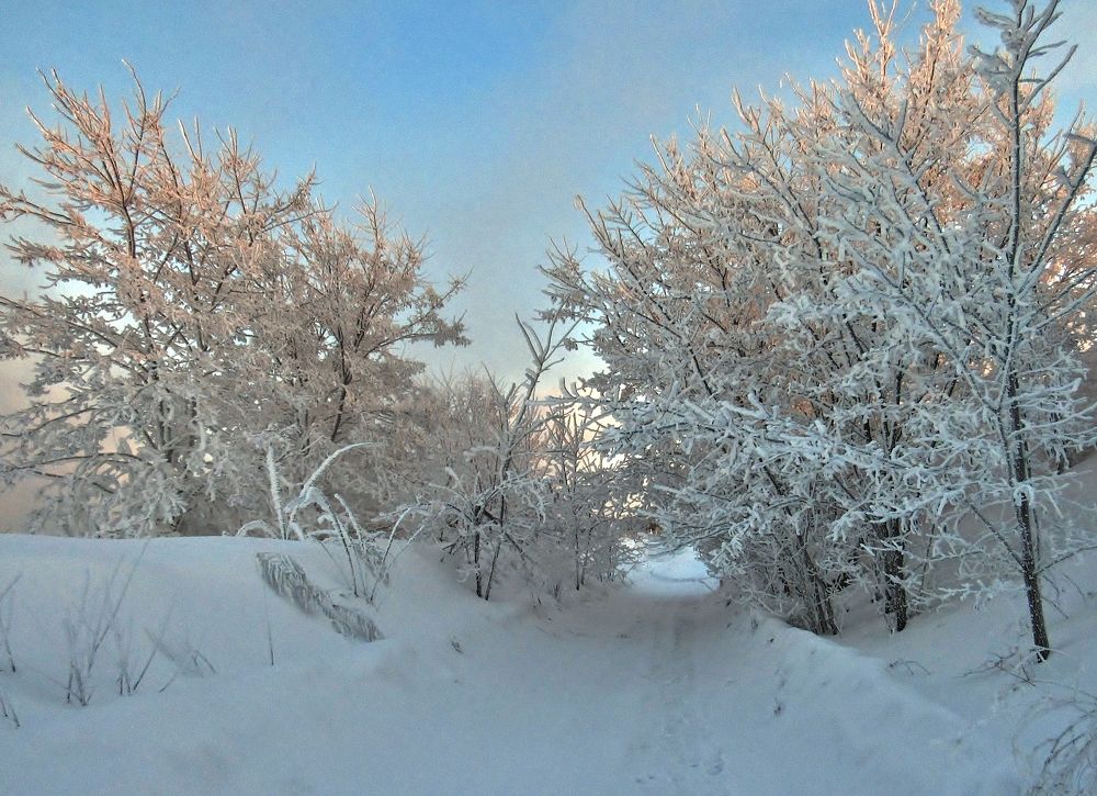 Photograph by Виктор Карпухин