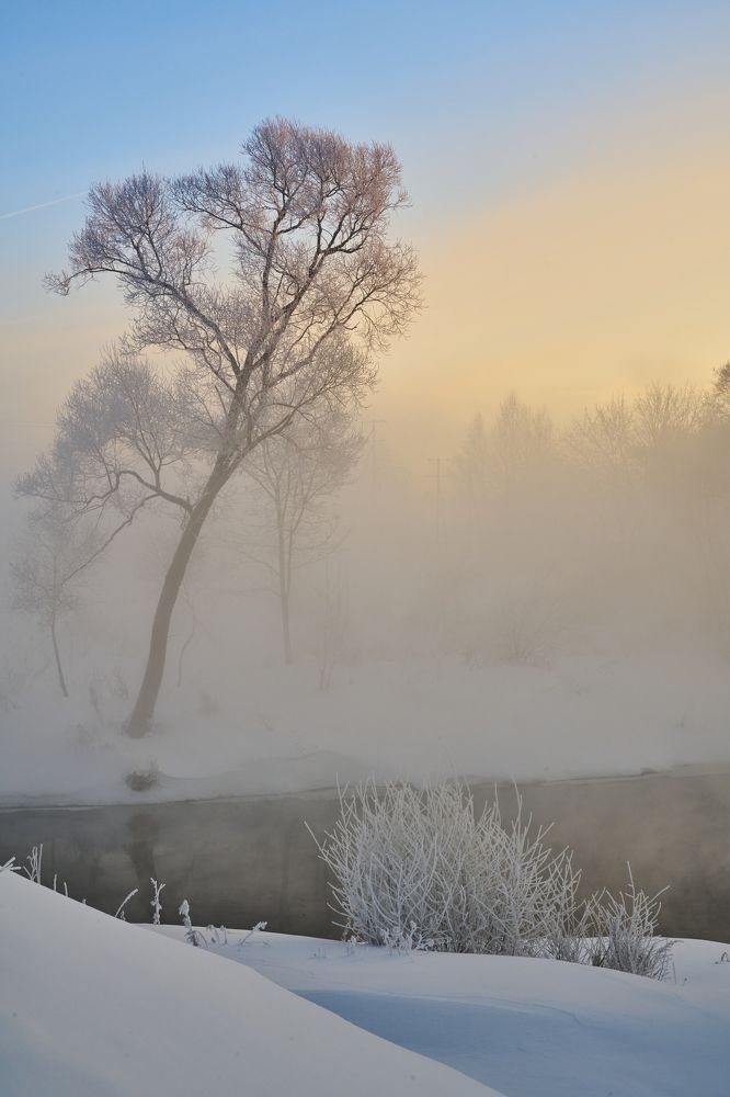 Photograph by Алексей Петров