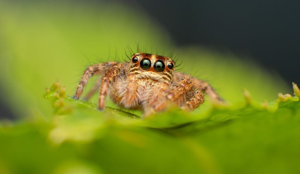 Photograph by Martin Pham