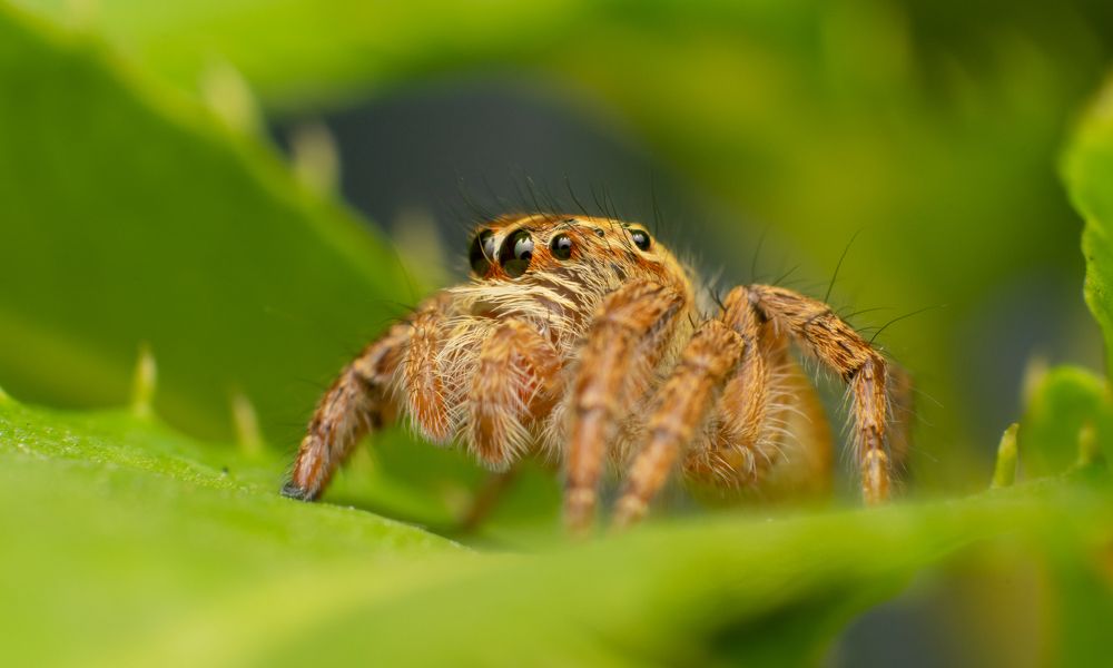 Photograph by Martin Pham