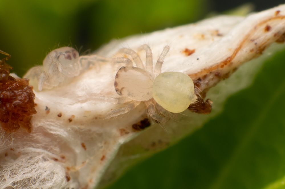 Photograph by Martin Pham