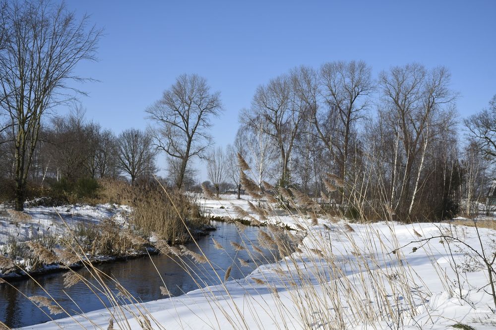 Photograph by Anja Jansen