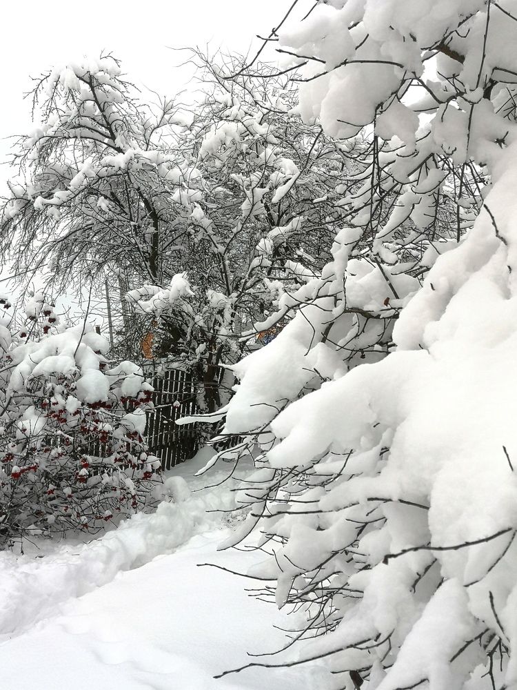 Photograph by Екатерина