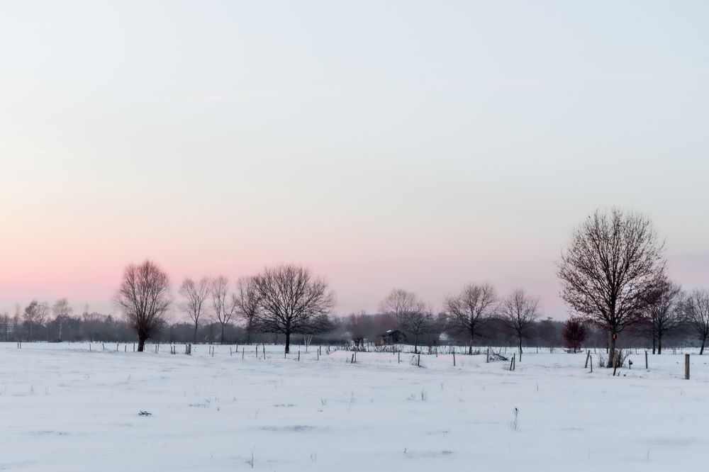 Photograph by Anja Jansen