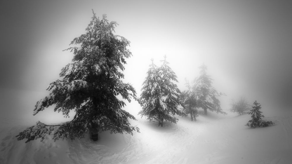 Photograph by Семенюк Василий