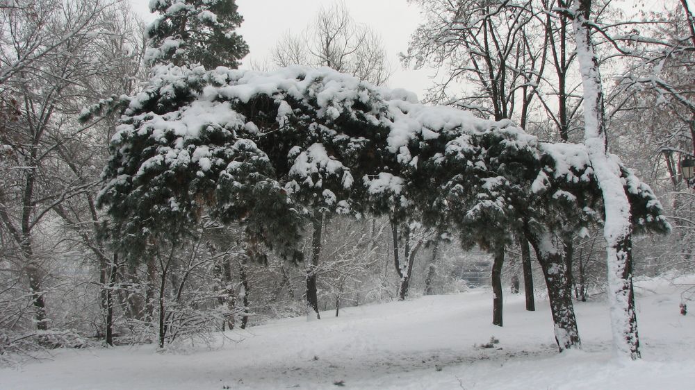 Фотография автора Сергей Дёмин
