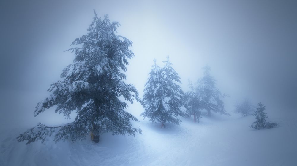 Photograph by Семенюк Василий