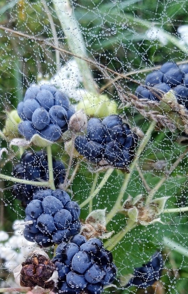 Photograph by Янина Черпухина-Андреева