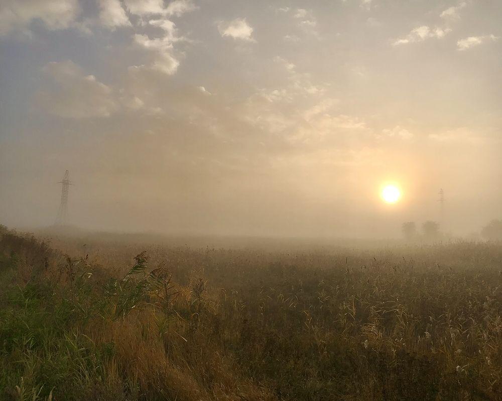 Photograph by Олег Хухашвили