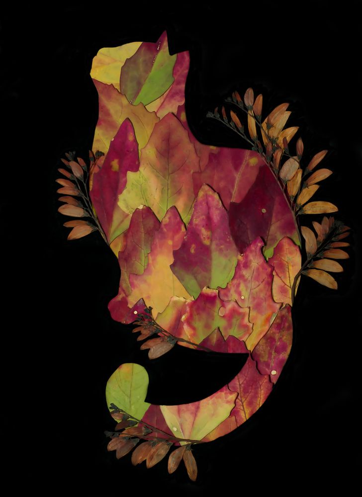 Photograph by Тараненко Анжелика