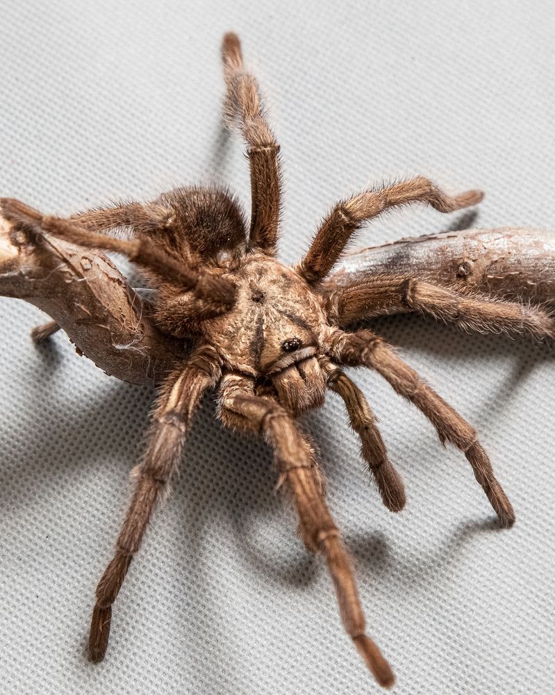 Photograph by Малена  Раджюс