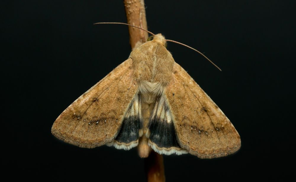 Photograph by Тараненко Анжелика