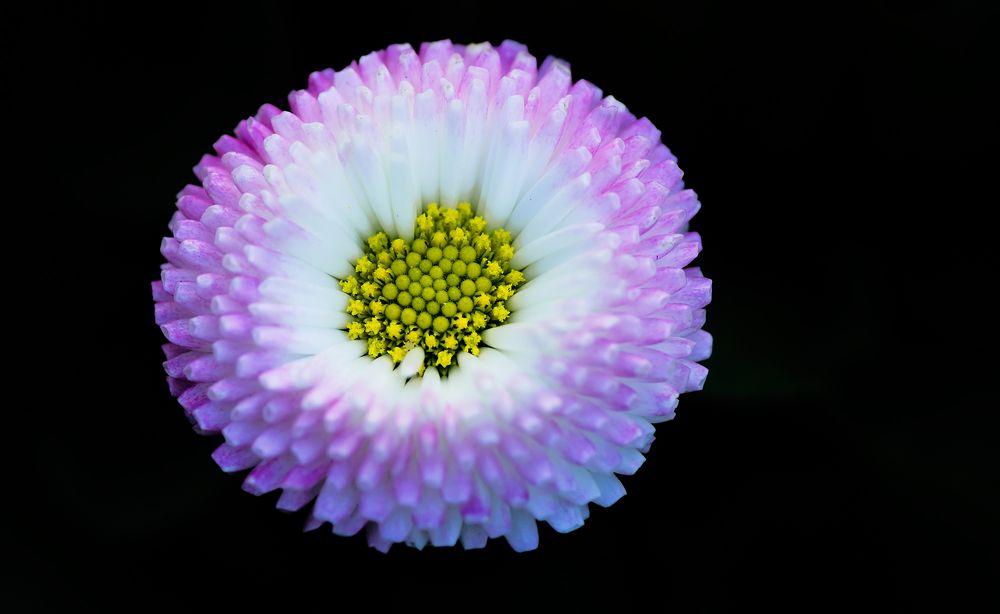 Photograph by Тараненко Анжелика