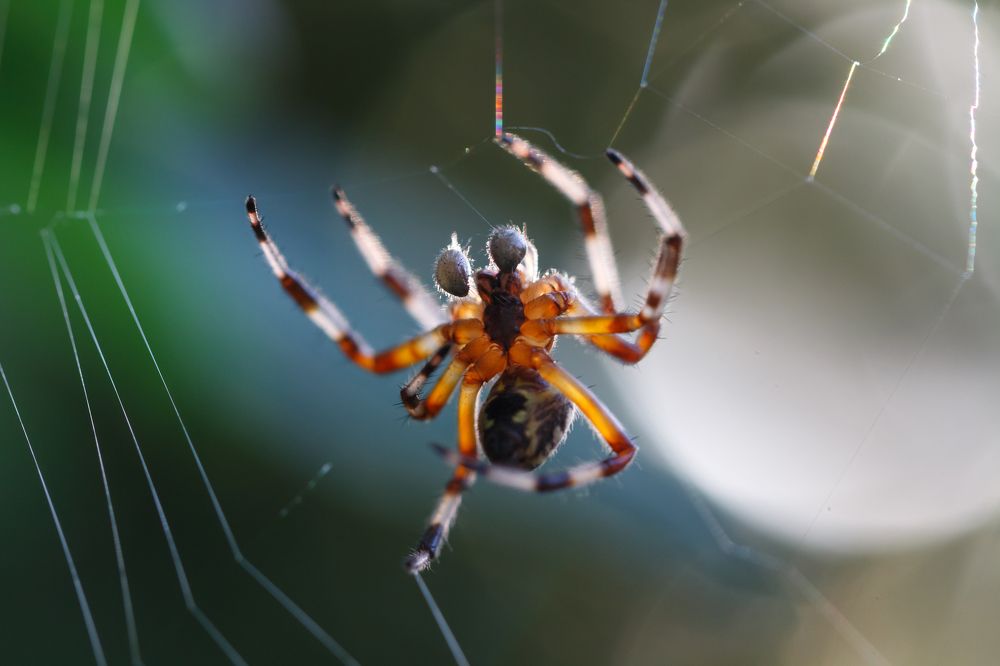 Photograph by Тамара Морозова