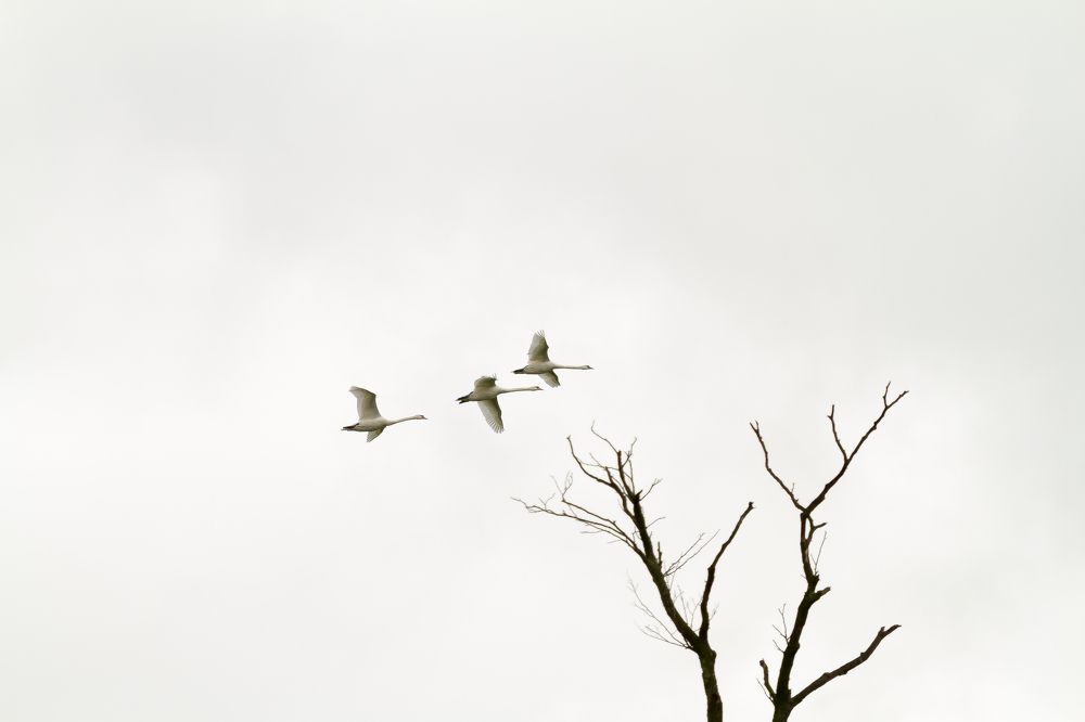 Photograph by Przemyslaw Wlodkowski