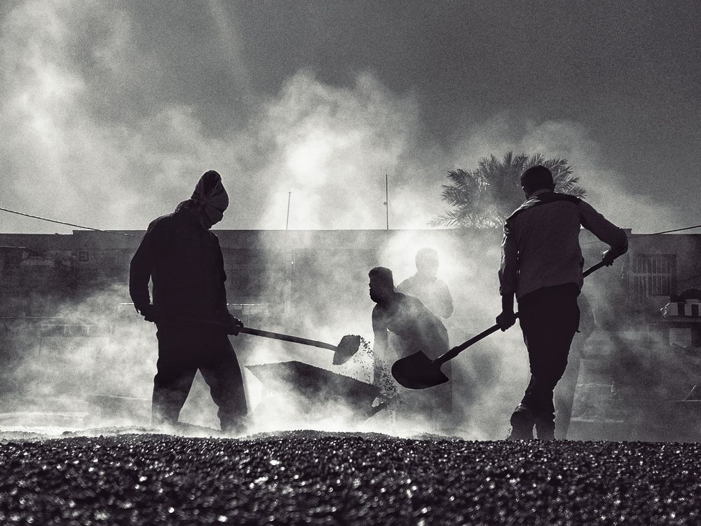 Photograph by mohammad mahmoodpoor