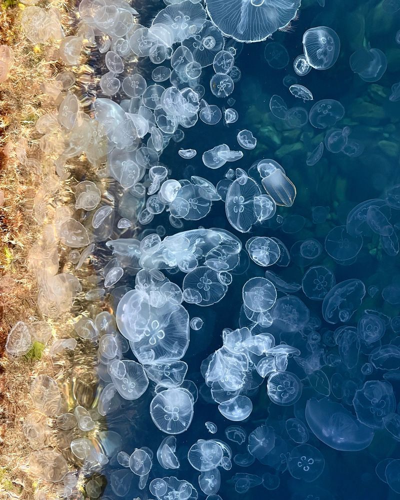 Photograph by Мария Ковригина