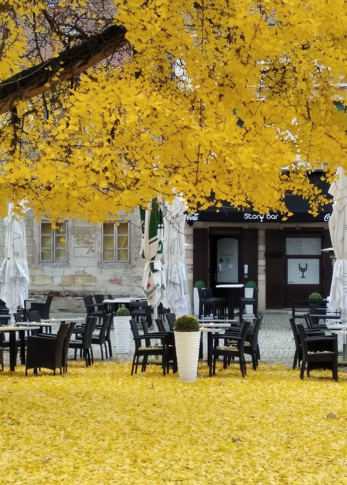 Photograph by Željko Rakitić