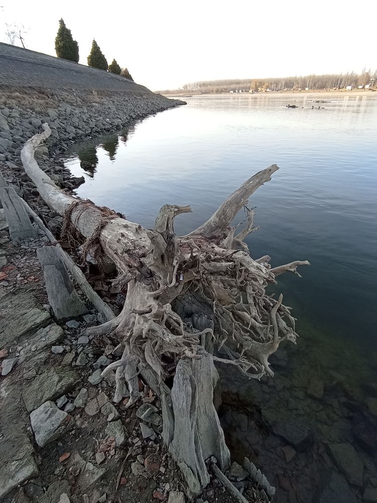 Photograph by Željko Rakitić