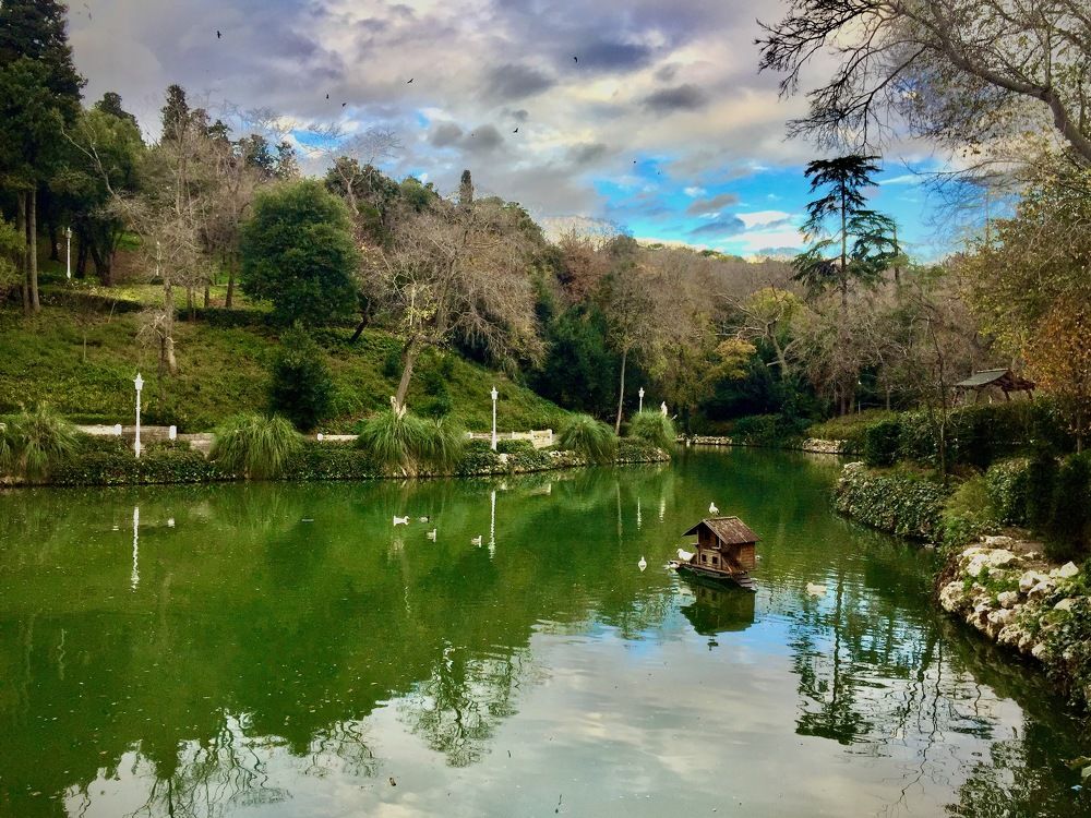 Photograph by Ahmet Aka