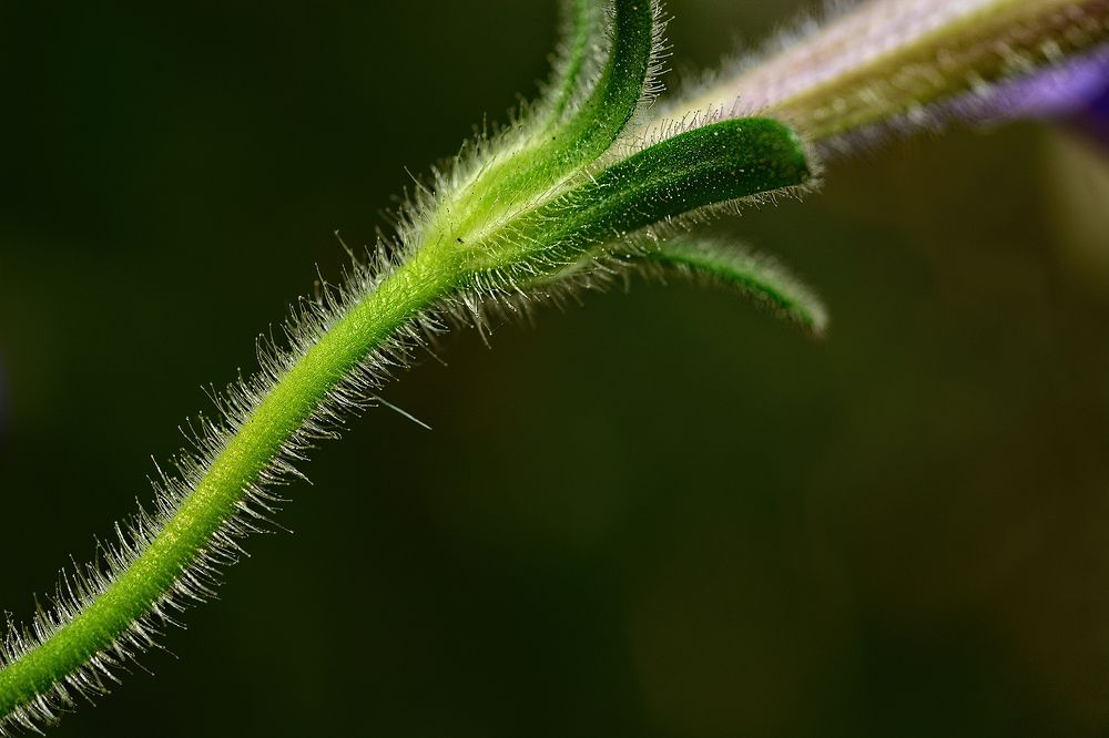 Photograph by Олег Бунеев