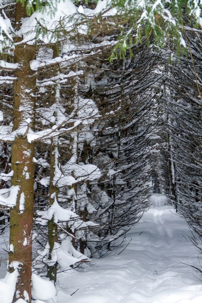 Photograph by Алексей