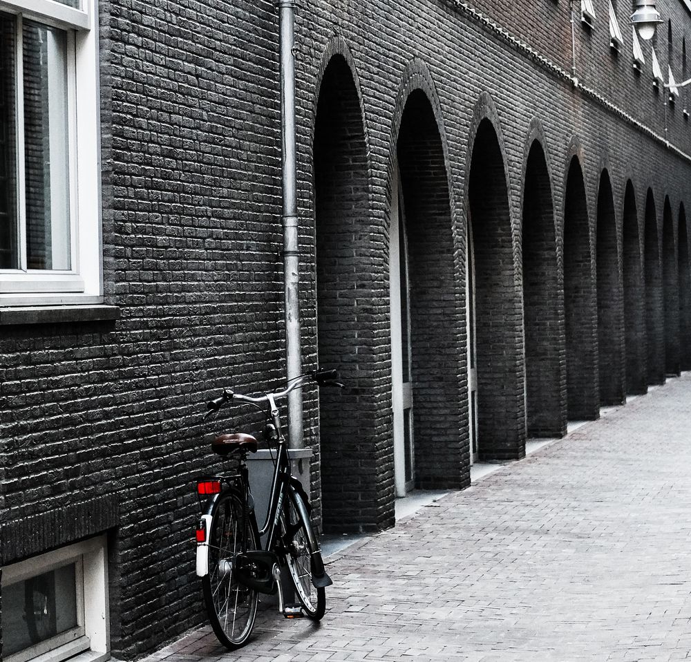 Фотография автора Елена