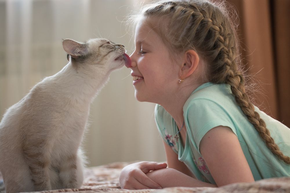 Фотография автора Анастасия