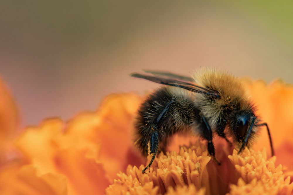 Photograph by Илья Нелюбин