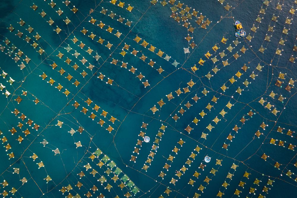 Hon Yen lobster farming