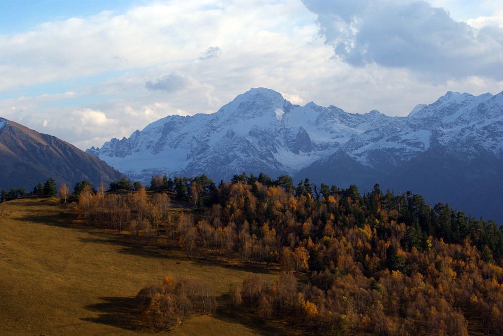 Осенняя рапсодия ...