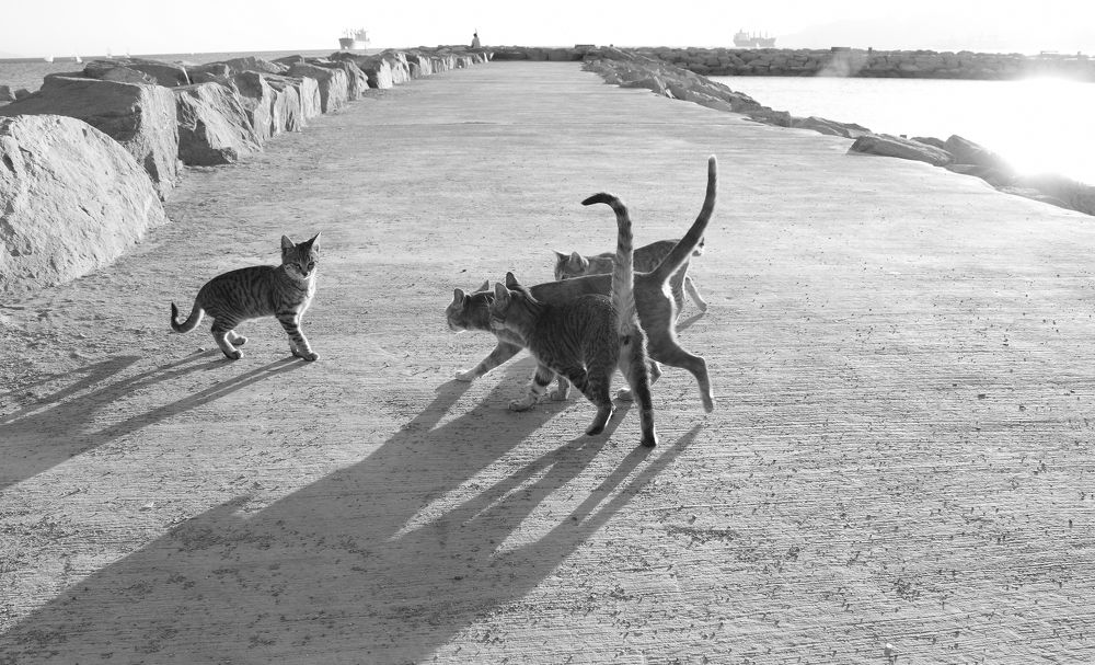 Photograph by Игорь