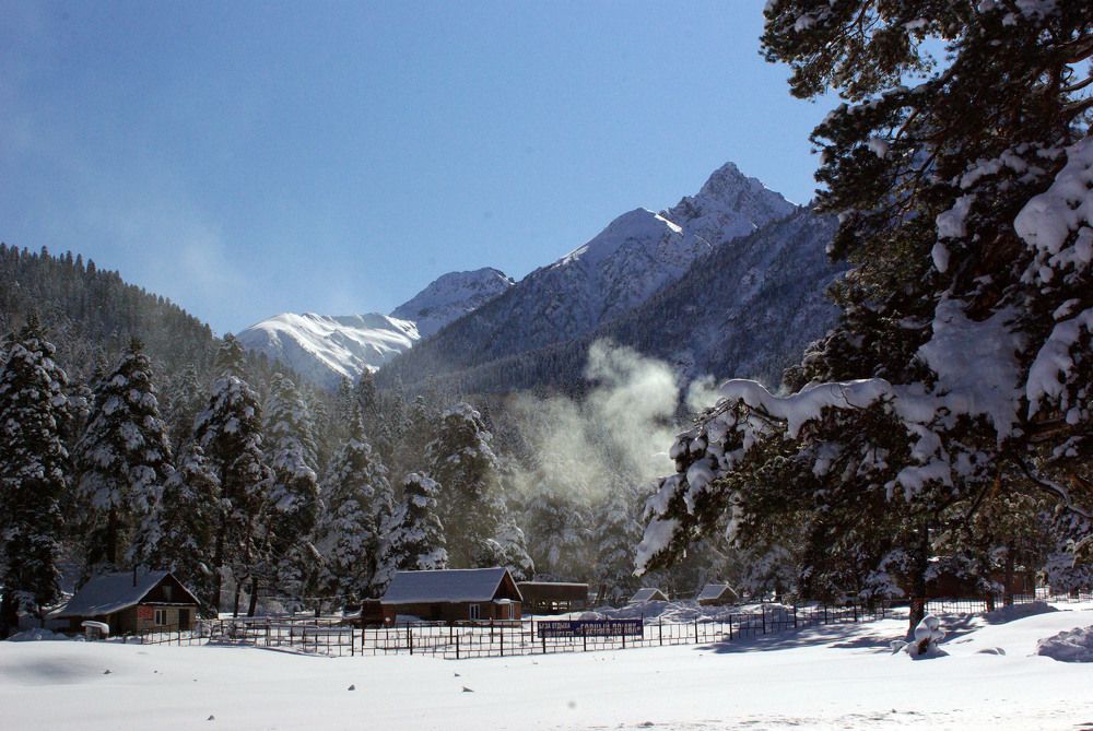 Зимняя поляна ...