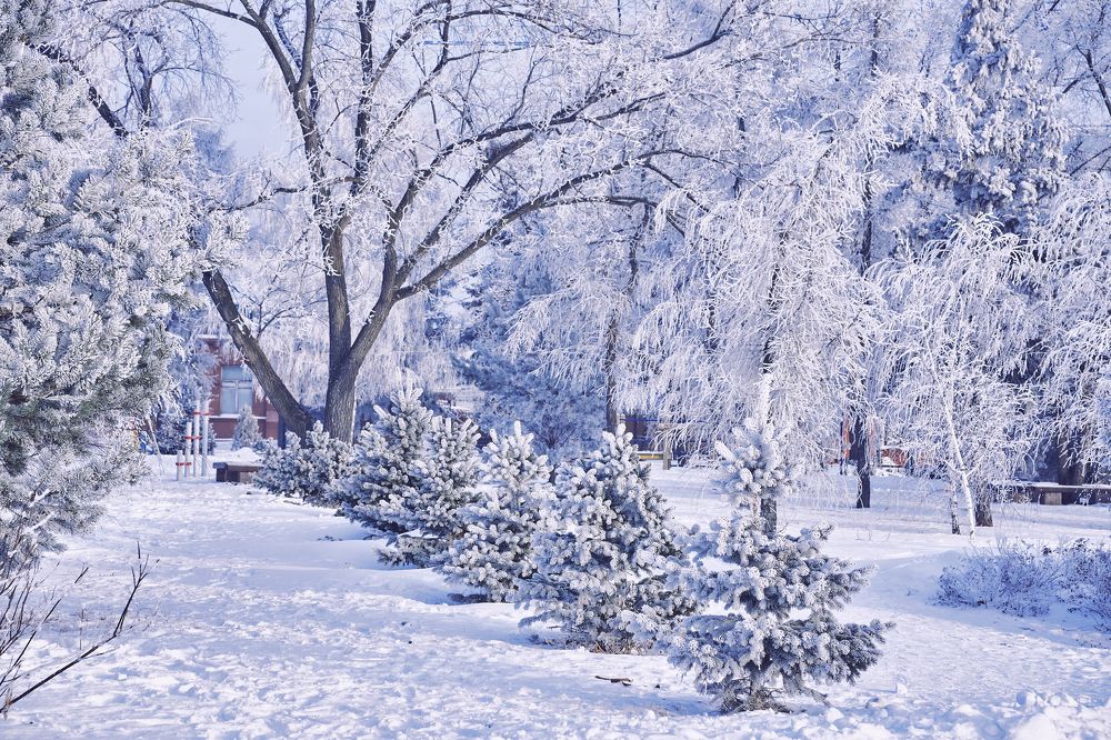 Photograph by Сергей Стукен