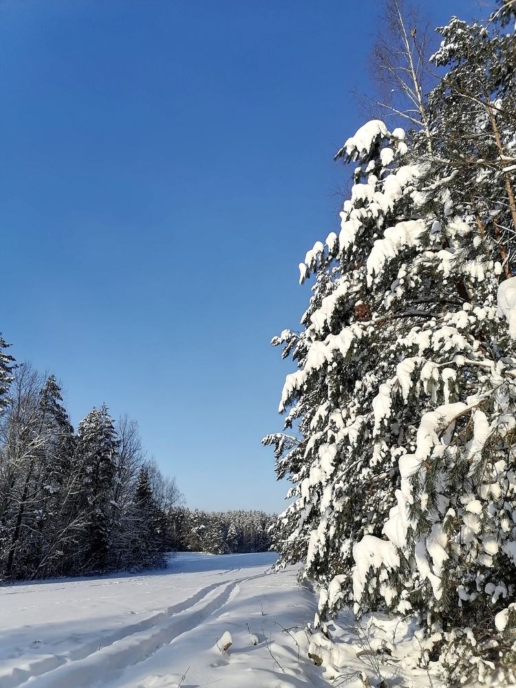 Photograph by Krystyna