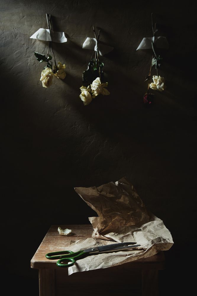 Photograph by Алексей Дивнич